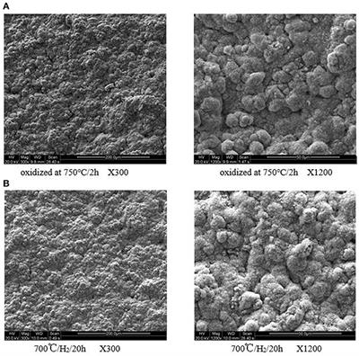 Preparation of High Stability Pd/Ceramic/Ti-Al Alloy Composite Membranes by Electroless Plating